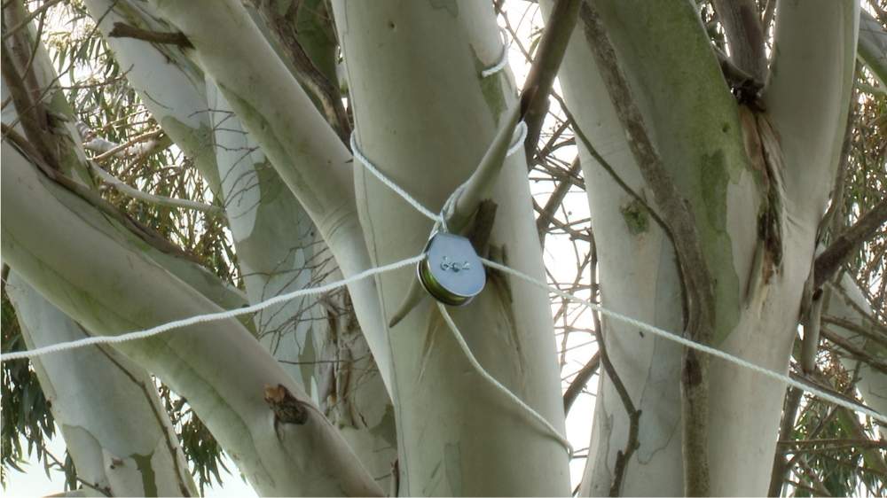 Ace-prepare-to-suspend-tree-pulley